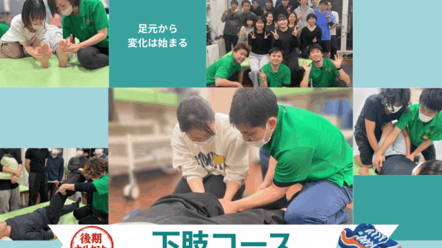 2026後期ナイトセミナー「下肢コース」　6/1より募集開始