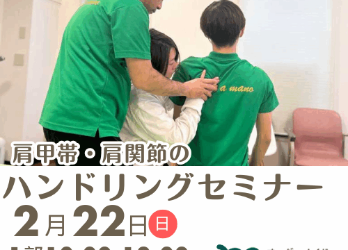 肩甲帯・肩関節のハンドリング〜初学者向け研修会〜２部構成