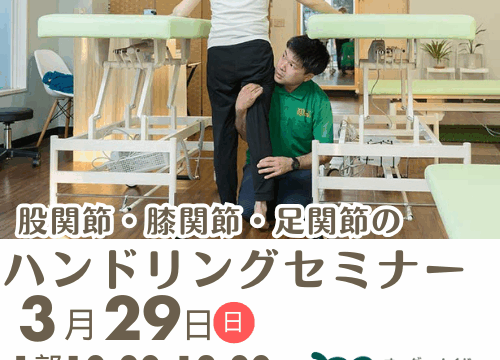 股関節・膝関節・足関節のハンドリングセミナー