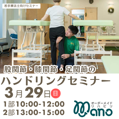 股関節・膝関節・足関節のハンドリングセミナー
