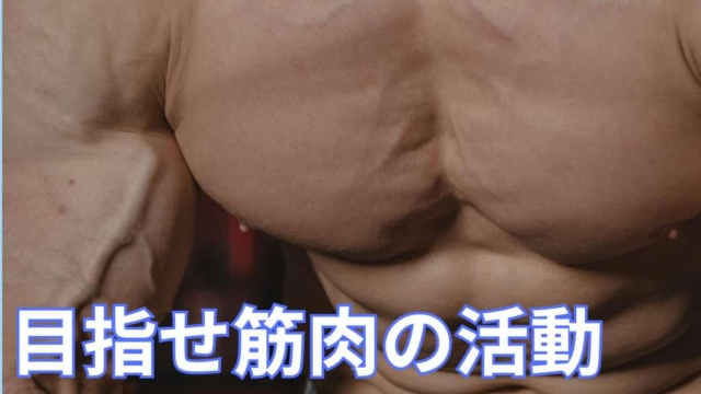 目指せ筋肉の活動！