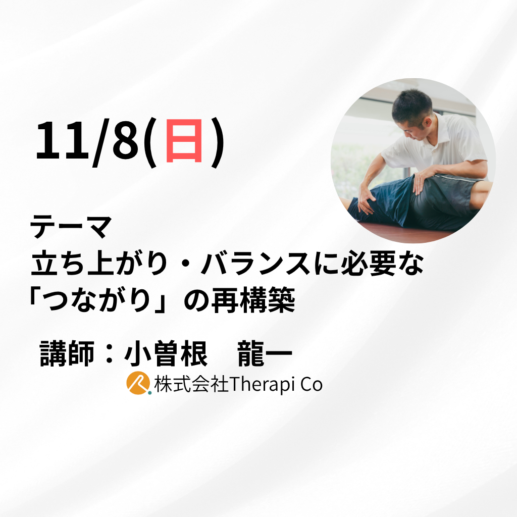 Mano1日企画研修会：立ち上がり・バランスに必要な「つながり」の再構築
